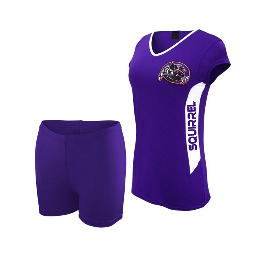Volley Ball