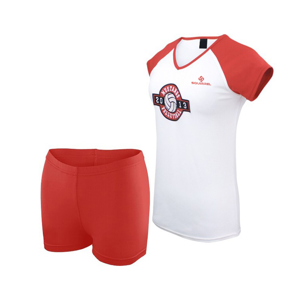 Volley Ball